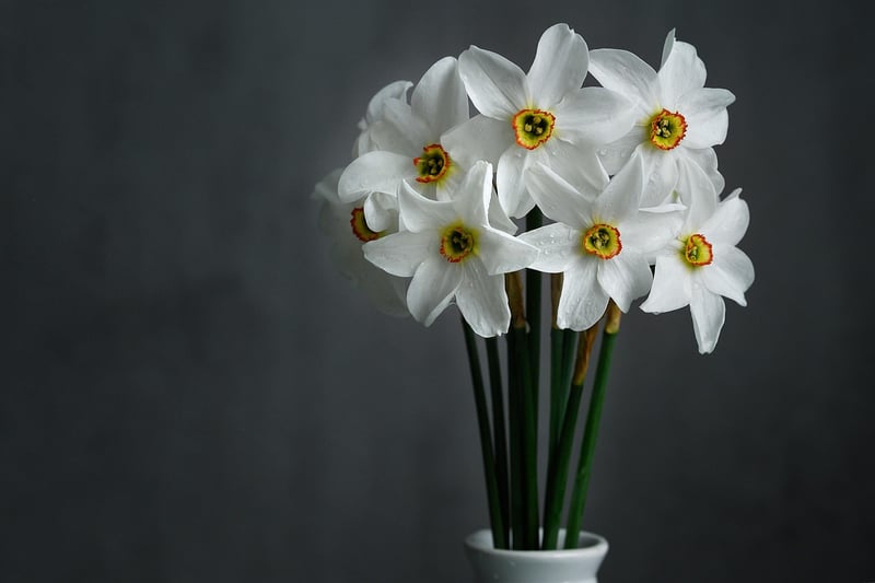 Mystical Centerpieces